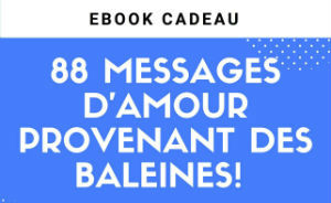 TÉLÉCHARGEZ VOTRE EBOOK GRATUIT : 88 MESSAGES D’AMOUR PROVENANT DES BALEINES !