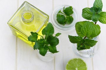 Menthe poivrée : 16 utilisations et bienfaits d’une huile essentielle incontournable