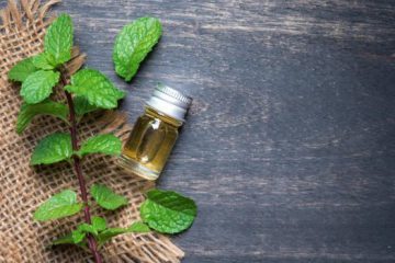 Découvrez les avantages de l’huile de menthe pour la santé