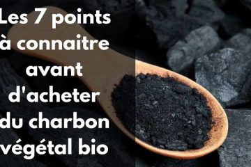 Le charbon végétal bio et ses bienfaits