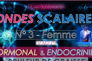 Onde Scalaire n°3 (version no.2) – Système HORMONAL / ENDOCRINIEN