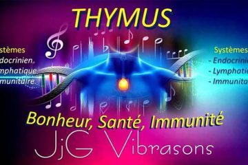 THYMUS – BONHEUR- SANTE- IMMUNITE