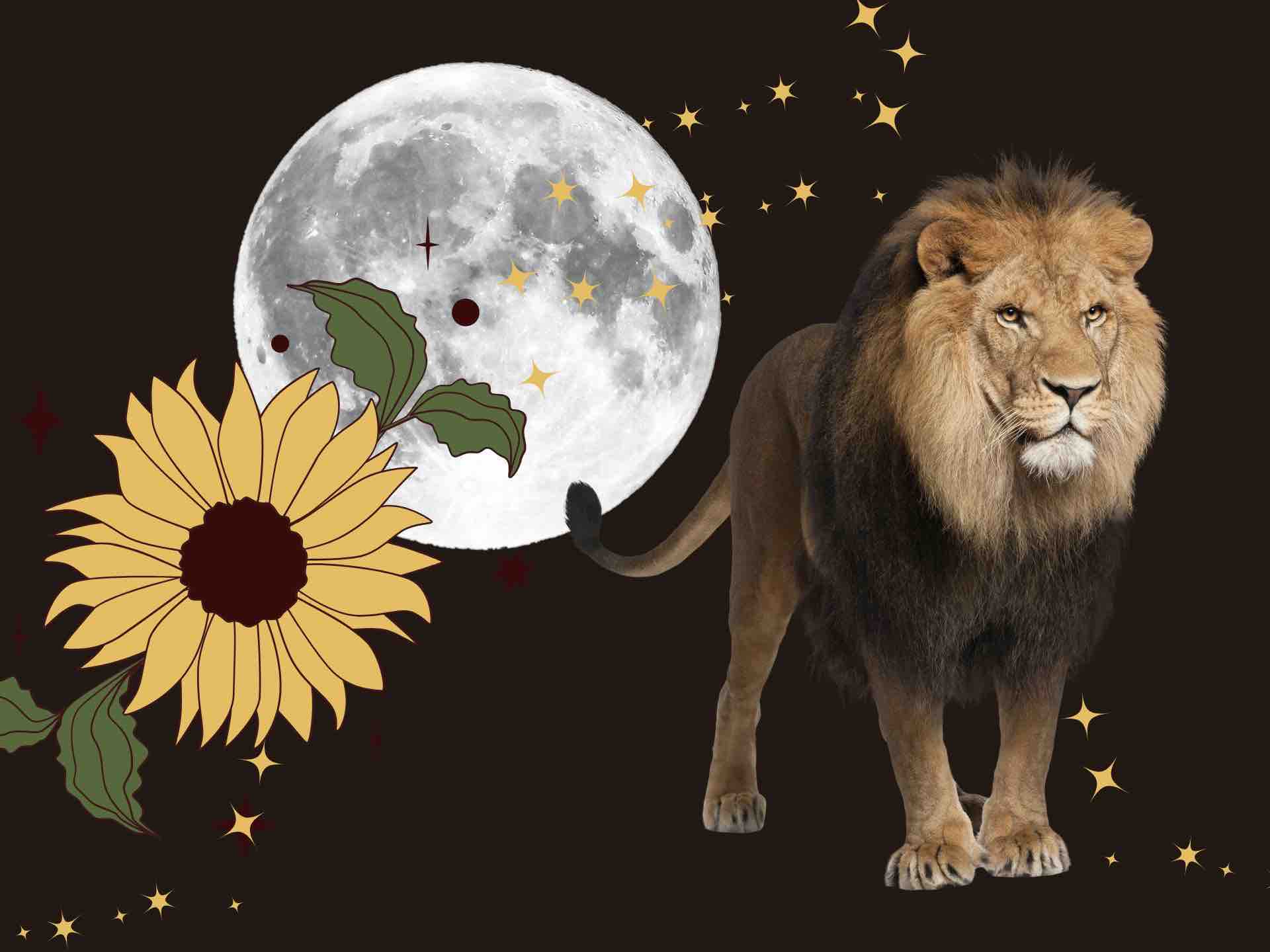 ASTROLOGIE INTUITIVE PLEINE LUNE EN LION DE JANVIER 2024 Presse