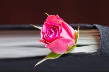 TROUVER LA PAIX AU CŒUR DES ÉPREUVES