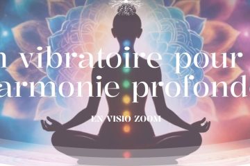 SOIN VIBRATOIRE POUR UNE HARMONIE PROFONDE